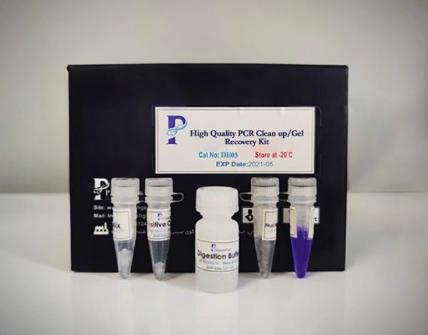 PCR Clean up
